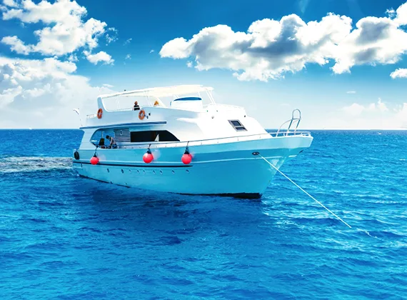 Surfers Paradise, Surfing Vacation - kaiyunyiyu